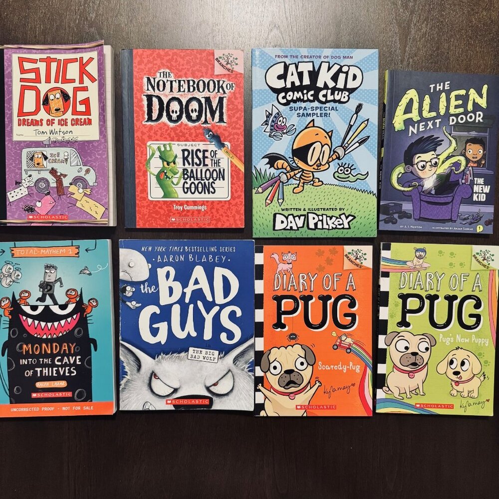 Kids Illustrated Chapter Book Lot